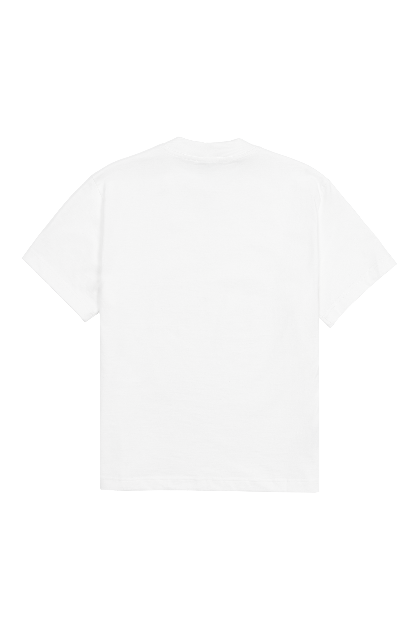 White Slim / Regular Fit Tee