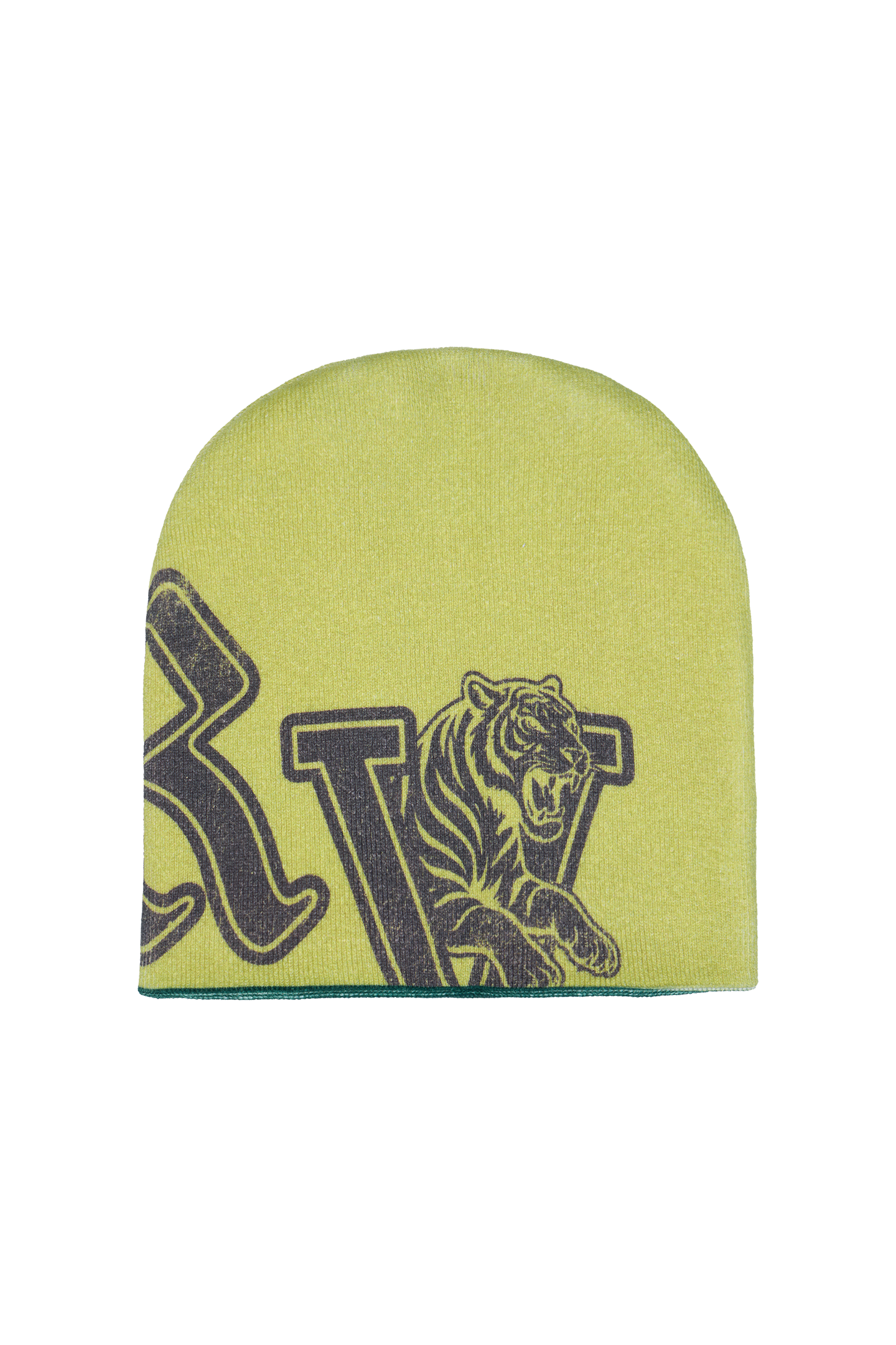 Reversible Beanie Green