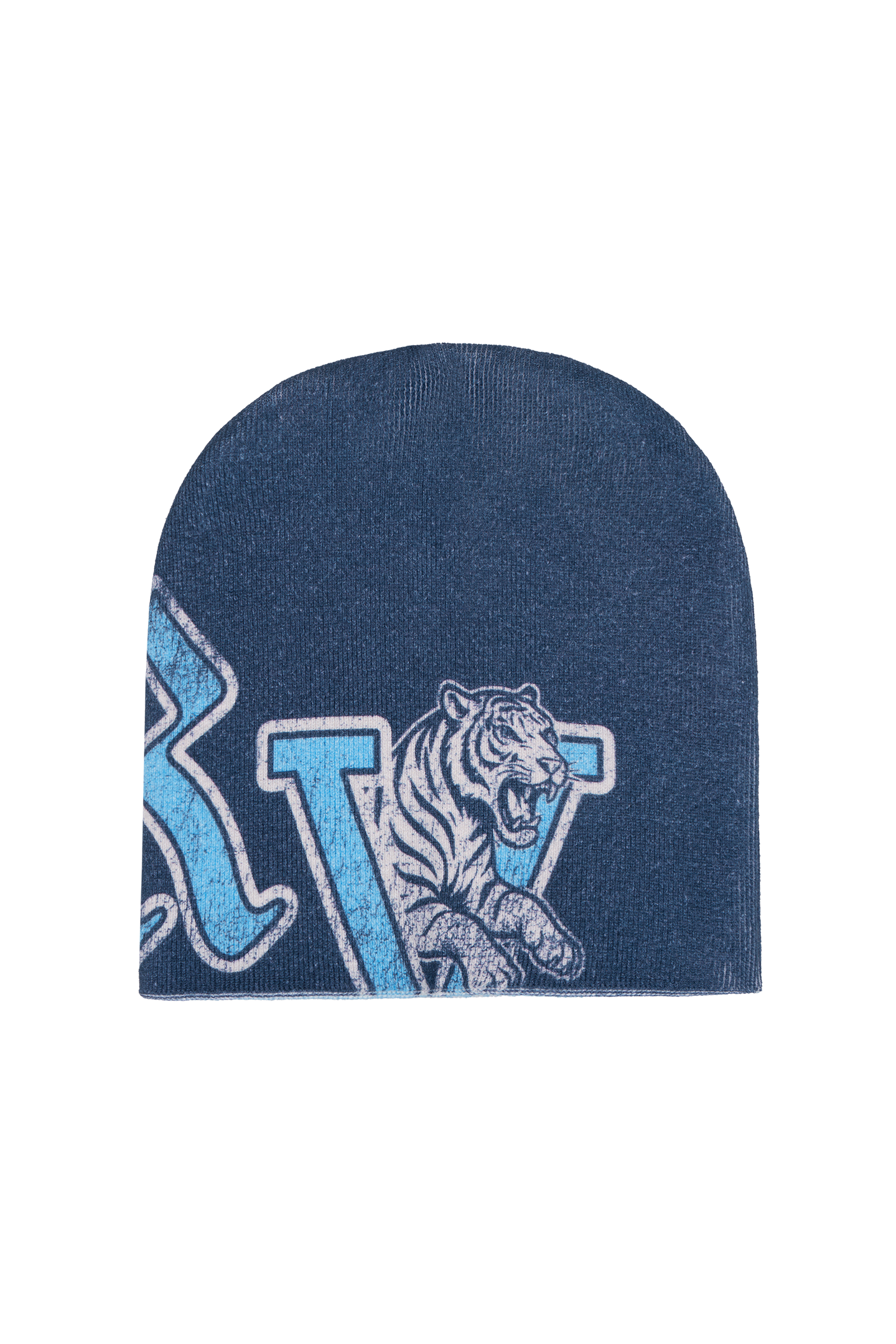 Reversible Beanie Blue