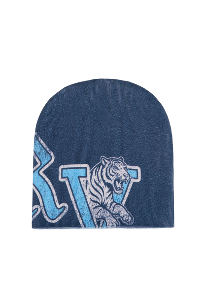 Reversible Beanie Blue