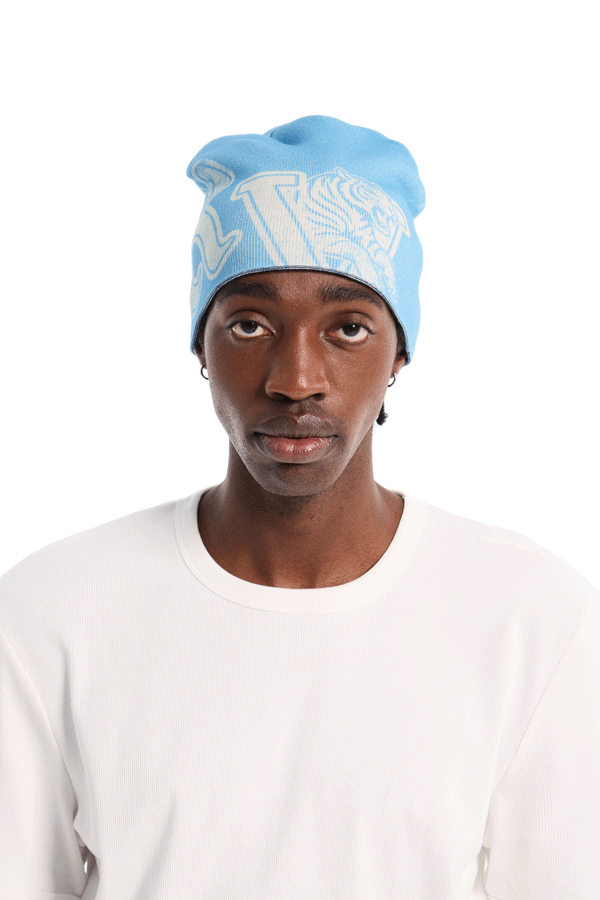 Reversible Beanie Blue
