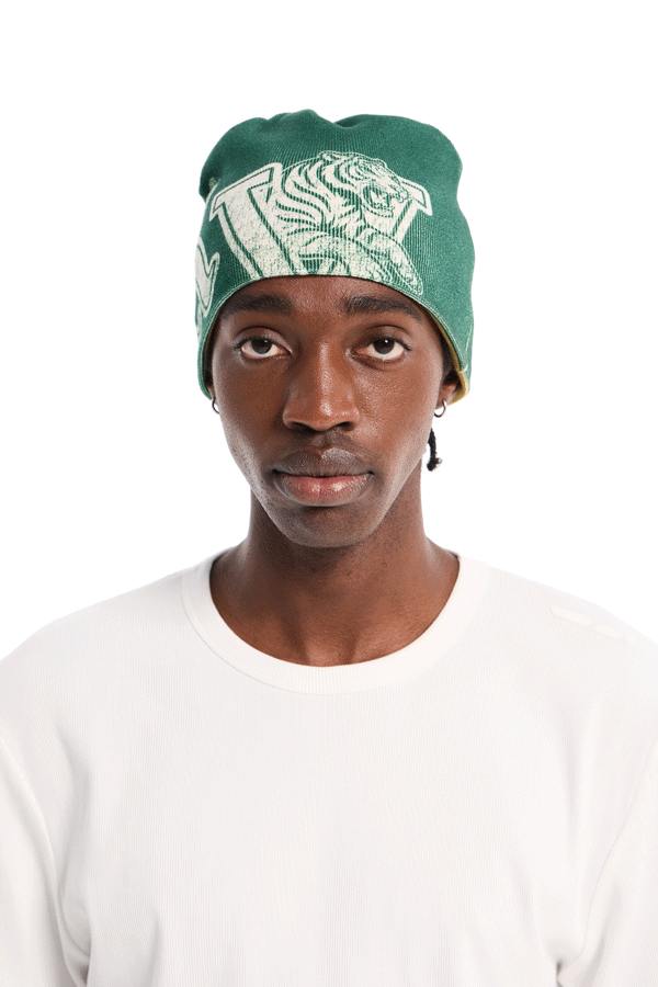 Reversible Beanie Green